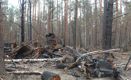 Екологічний стан. Довкіллю Луганщини російське військо завдало збитків на понад 552 млрд грн
