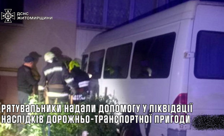 У Звягелі Mercedes-Benz в'їхав у стіну житлового будинку