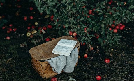 Погода в Кагарлику та Ржищеві на тиждень - із 16 по 22 вересня