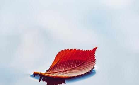 Погода у Старокостянтинові на 16-22 вересня: буде вітряно та чи чекати тепла