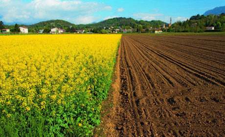 Податкова інформує: мінімальне податкове зобов’язання у фізичних осіб