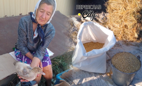 У Переяславі на базарі подорожчала пшениця: 60 гривень за відро, бо озимину ще не сіяли без дощу