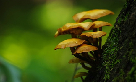 Погода в Кагарлику та Ржищеві на тиждень - із 23 по 29 вересня