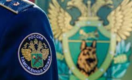 "Розмитнення" на користь окупантів Луганщини. СБУ зібрала докази на діяльність колаборантів