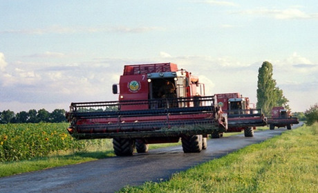 Поліцейських із Гадяча відсторонили від службових обов’язків після смерті фермера із Лютеньки
