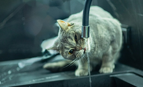 У Кагарлику зросте вартість водопостачання та водовідведення: скільки коштуватимуть послуги