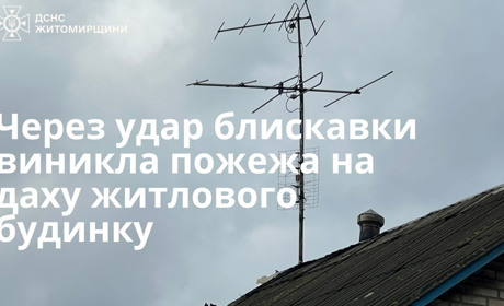 Через удар блискавки виникла пожежа на даху житлового будинку