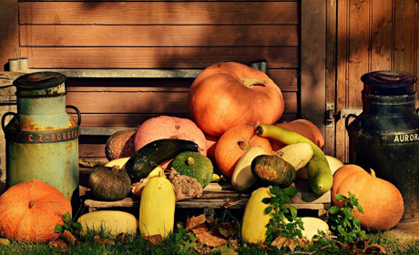 Місячний календар садівника та городника на жовтень 2024: коли і що садити