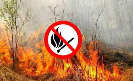 Спалювання трави та листя в пожежонебезпечний період є незаконним і передбачає відповідальність