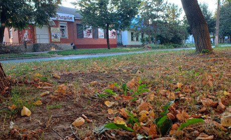 Гадяччину очікує теплий, але дощовий тиждень