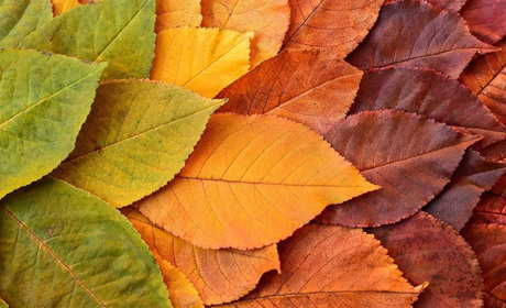 Погода у Старокостянтинові на 7-13 жовтня: буде тепло та сонячно. Коли очікується похолодання