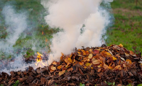 Гадячанин заплатить адмінштраф за те, що палив листя
