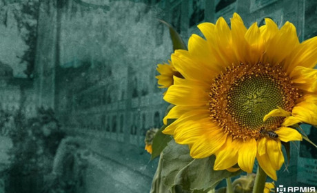 У Южному відбудеться День пошани загиблих Героїв "Маємо жити"