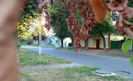 Осіння погода настала: від сонця до дощів та перших заморозків