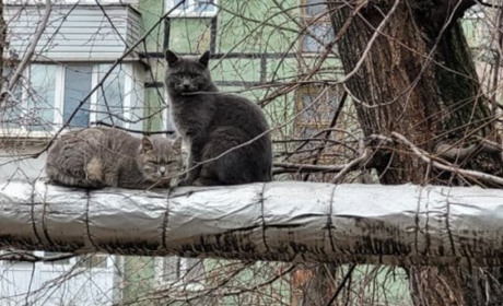 Зима "на носі". Як стартуватиме опалювальний сезон на окупованій Луганщині