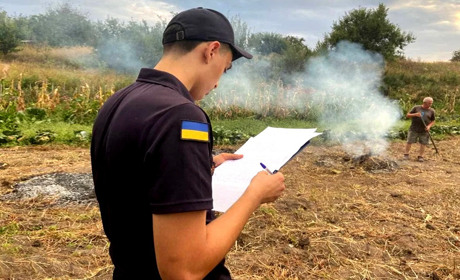 Штрафи від 3-х до 6 тисяч: покарання паліям