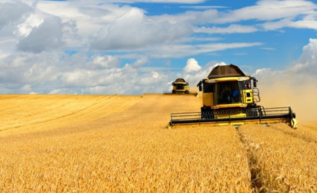 На лівобережжі Херсонської області зібрали на 35% менше зерна, ніж очікували