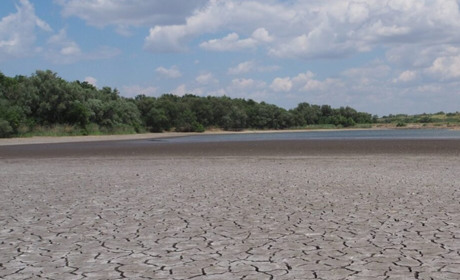 Через підрив Каховської ГЕС знищено майже 10 тисяч гектарів водно-болотних угідь