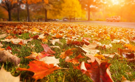 Прогноз погоди на 19-23 жовтня