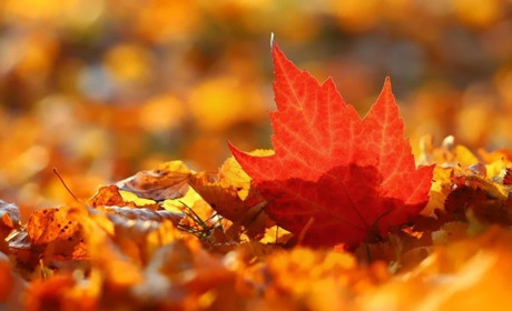 Погода у Старокостянтинові 21-27 жовтня: тиждень буде сухим і теплим