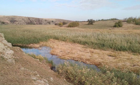 Бердянське водосховище критично обміліло: через 2-3 місяці Бердянськ може залишитися без води