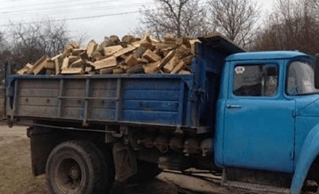 Деревина для опалення осель. Як жителям Лозівської громади придбати дрова у лісництва