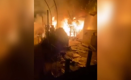 У Запоріжжі підпалили притулок для тварин: собаки згоріли заживо