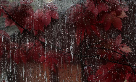 Погода в Кагарлику та Ржищеві на тиждень - із 28 жовтня по 3 листопада