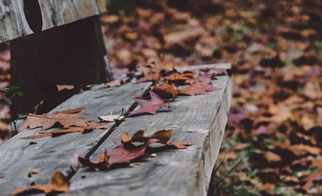 Листопад 2024: хто святкуватиме іменини, календар професійних та державних свят