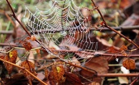 Листопад 2024: які зміни очікувати старокостянтинівцям