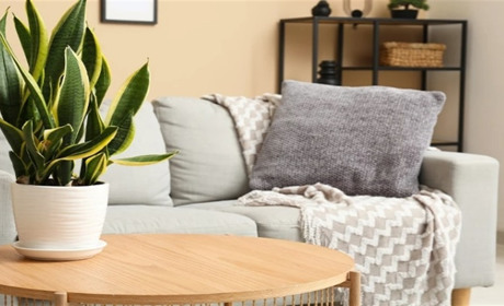 Доставка якісних товарів із магазину Ikea в Україну за допомогою Meest Shopping