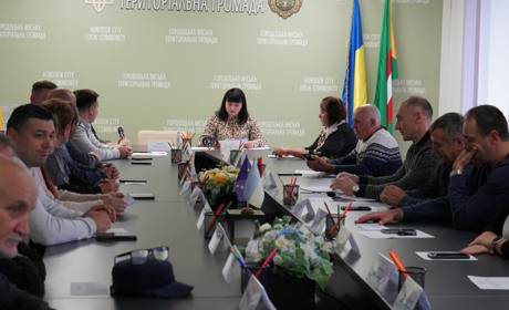 Городоччани звернулися до міст-побратимів. Просять підтримати План перемоги Президента України