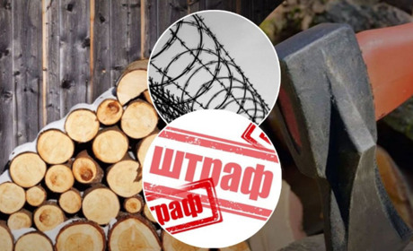Якщо українці не мають документів на дрова, їх можуть почати штрафувати