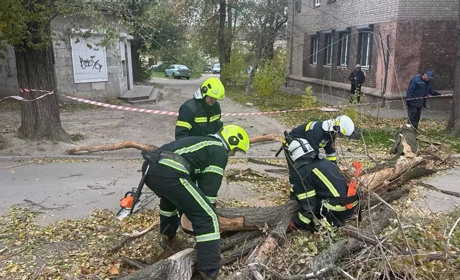 Пориви вітру валили дерева на дороги: рятувальники ліквідували наслідки негоди у Запоріжжі