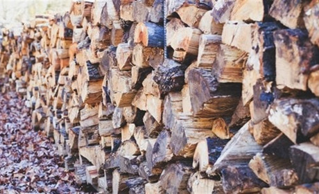 Закон про дрова: кого він стосується та що передбачає