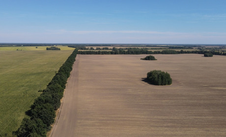 Термін оформлення земельних часток (паїв) продовжено до 2028 року