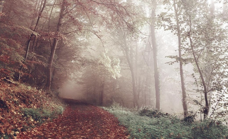 Погода в Кагарлику та Ржищеві на тиждень - із 11 по 17 листопада