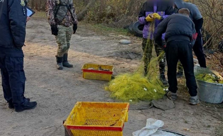 На Полтавщині браконьєри сітками наловили риби на 400 тисяч гривень