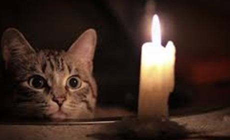 Де на Гадяччині можиливі відключення світла