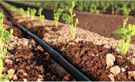 Як обрати крапельну стрічку для поливу?