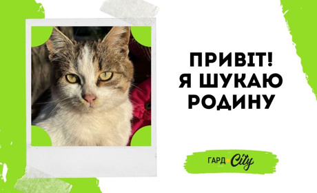 Подаруйте теплий дім гарному котикові, який дуже чекає на свою людину. Оновлено