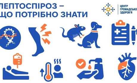 Лептоспіроз на Черкащині: 17 випадків, чотири летальних