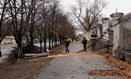 У Нікополі буревій повалив дерева та пошкодив міське господарство