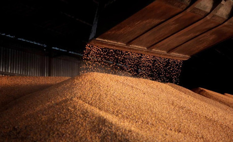 На Полтавщині завершили збір урожаю