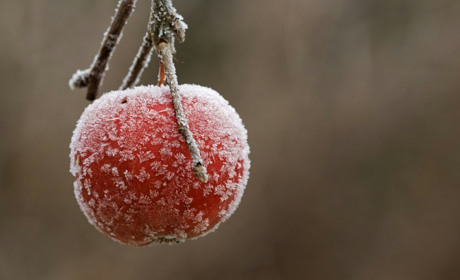 Погода в Кагарлику та Ржищеві на тиждень - із 25 листопада по 1 грудня