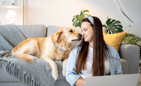 В Україні стартує перший етап запуску Єдиного державного реєстру домашніх тварин