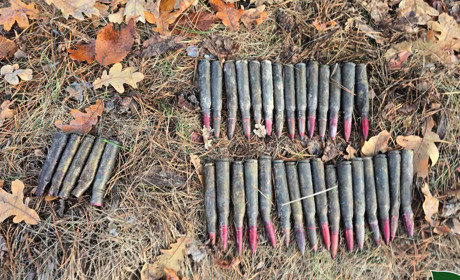 На Ніжинщині розмінували 26 гектарів лісу