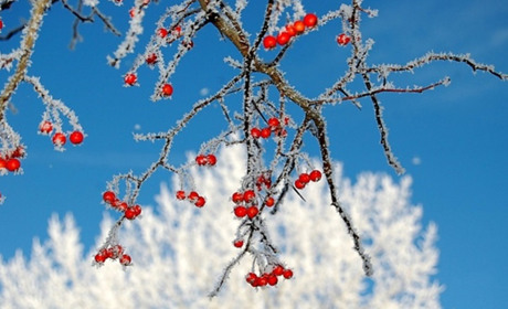 Що синоптики нам прогнозують... Прогноз