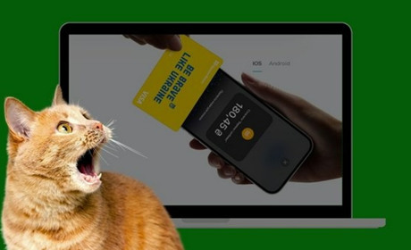 Комунальні платежі через iPhone: усі способи оплати в Україні