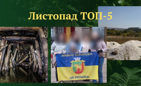 ТОП-5 кращих публікацій листопада